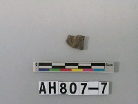 藏品(灰褐色夾砂陶片)的圖片